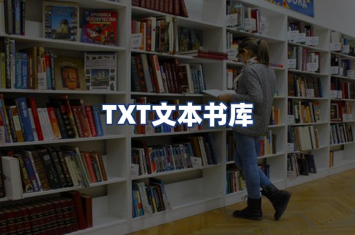 TXT文本书库